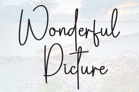 Wonderful Picture Review
